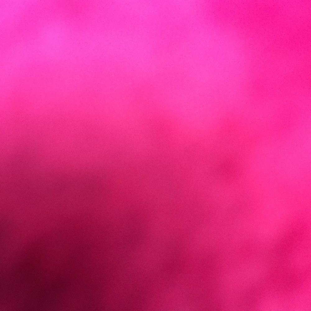 Meet your Posher, Sofia